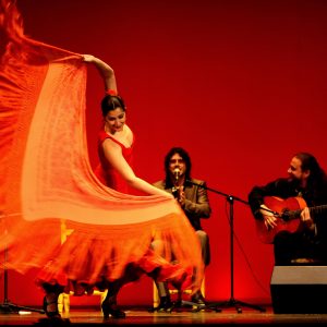 Flamenco Chekara (Marokko/Spanien)